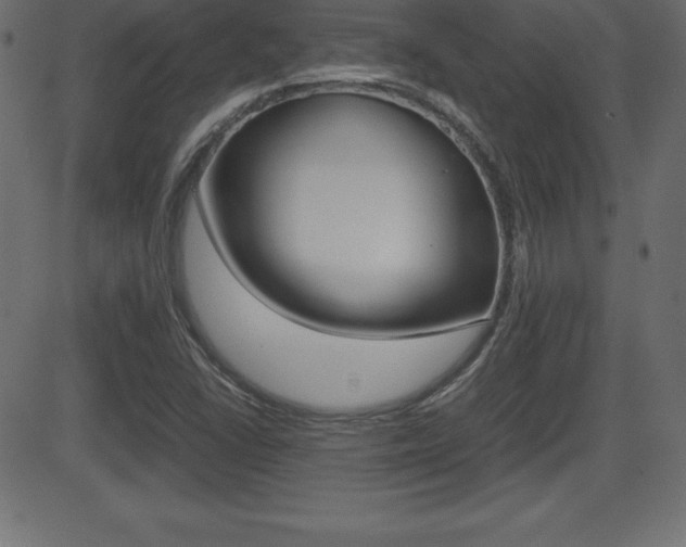 X0000081471406200701121004