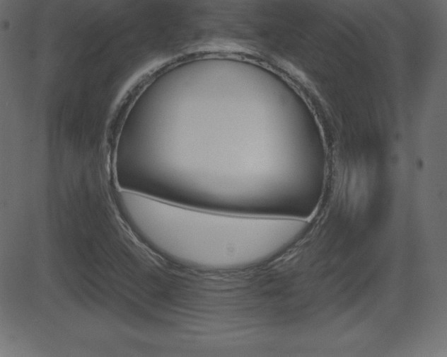 X0000081471408200701121004