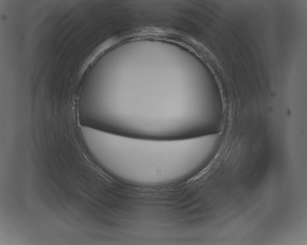 X0000081471409200701121004