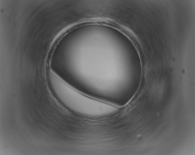 X0000081471412200701121004