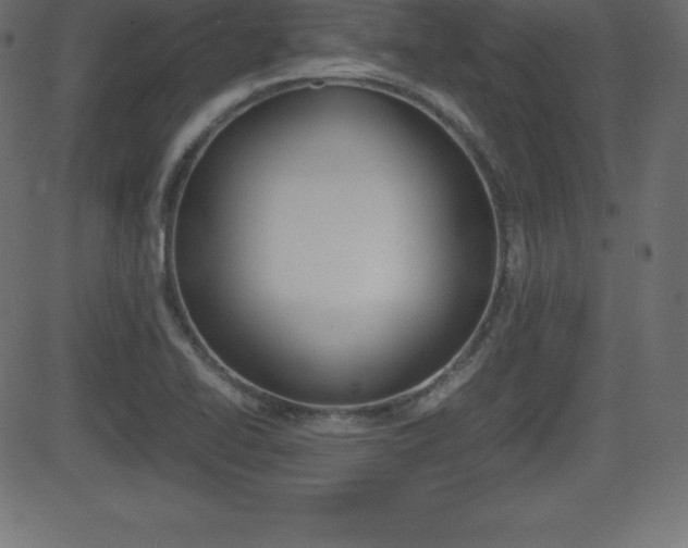 X0000081471414200701121004