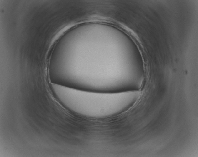 X0000081471415200701121004