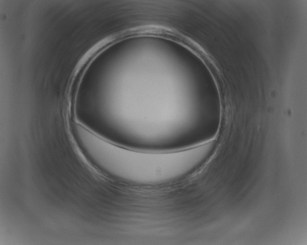 X0000081471418200701121004
