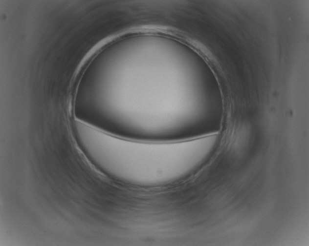 X0000081471420200701121004