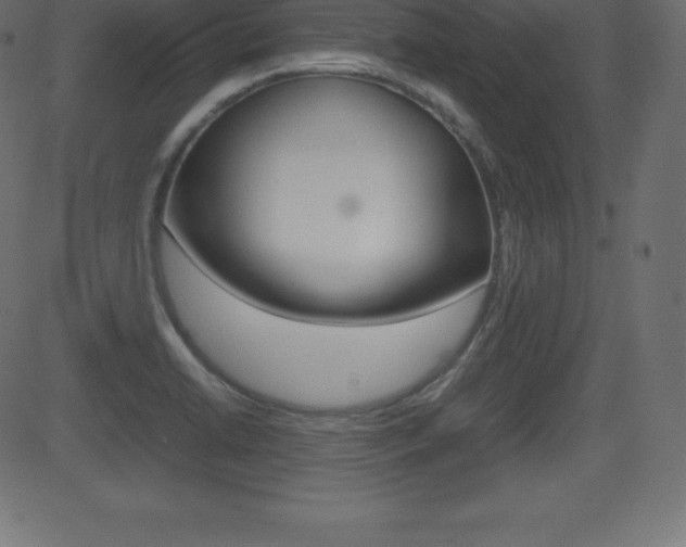 X0000081471422200701121004