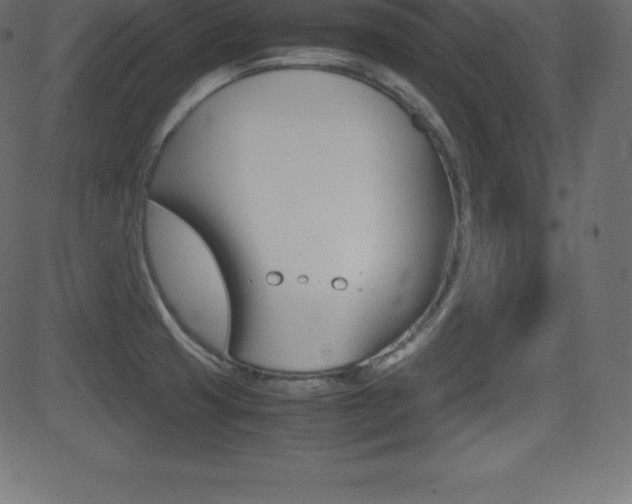 X0000081471425200701121004