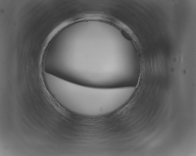 X0000081471427200701121004