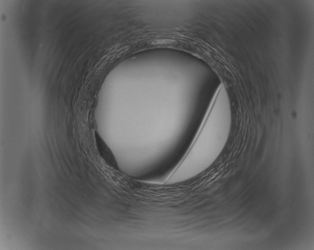 X0000081471441200701121004