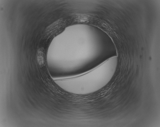 X0000081471442200701121004