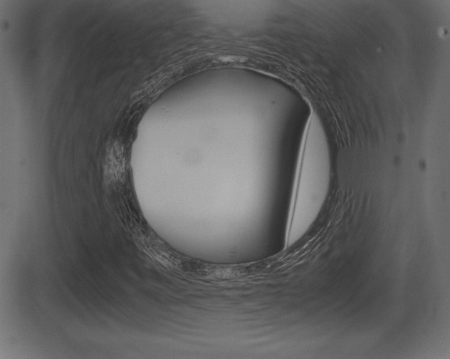 X0000081471443200701121004