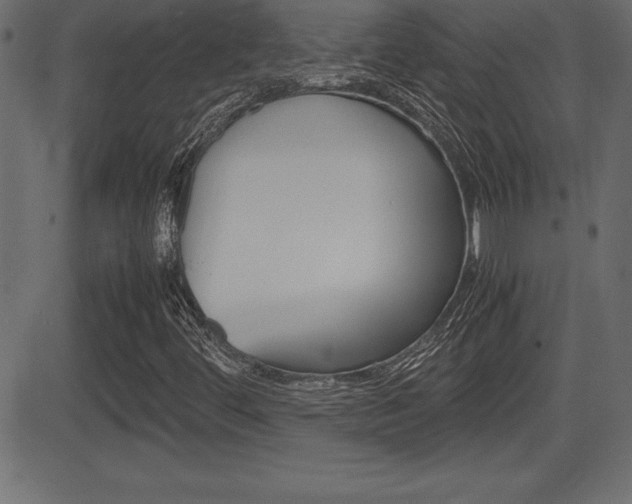 X0000081471444200701121004