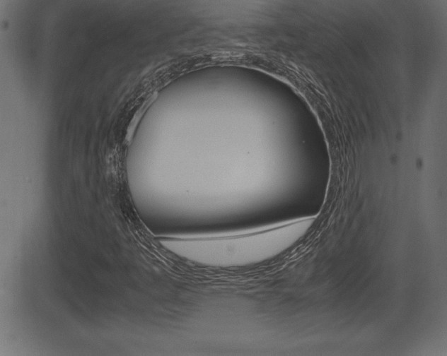 X0000081471445200701121004
