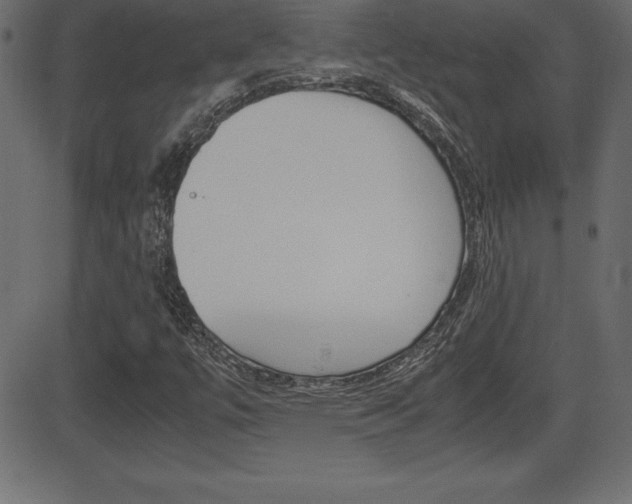 X0000081471447200701121004