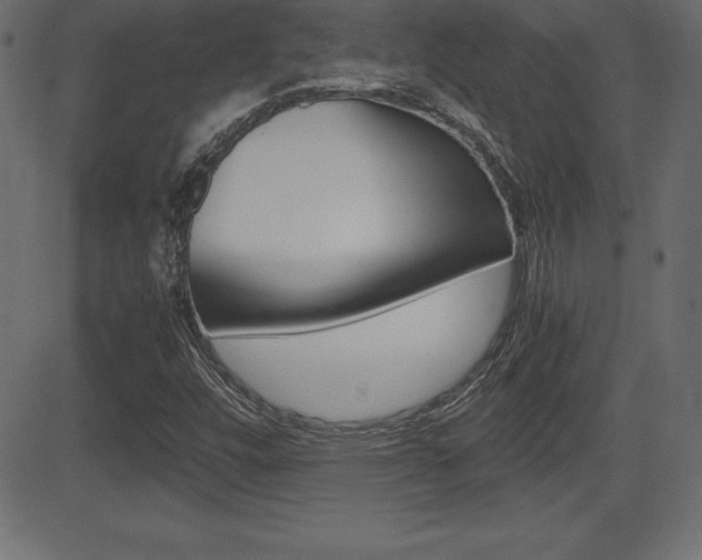 X0000081471448200701121004