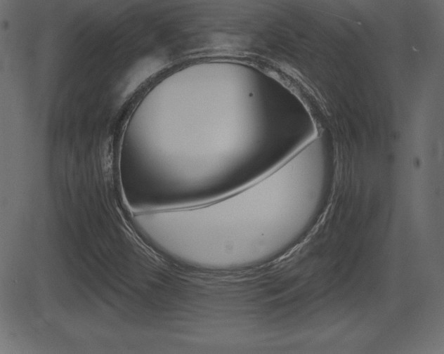 X0000081471450200701121004