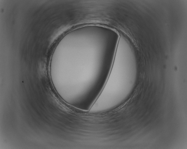 X0000081471452200701121003