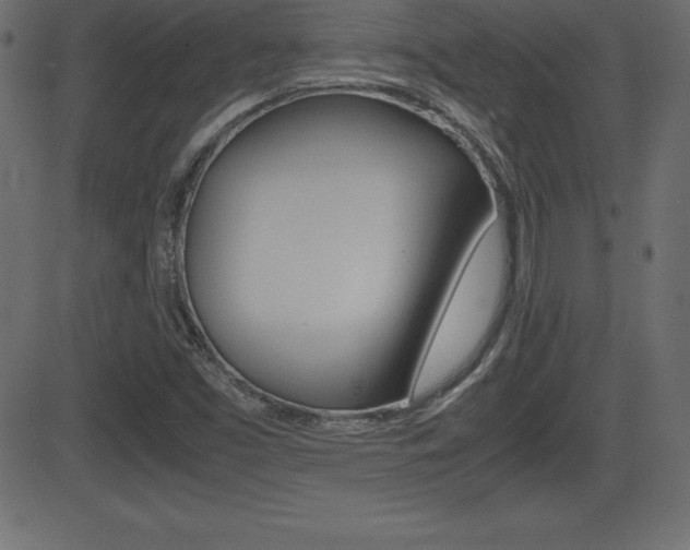 X0000081471453200701121003