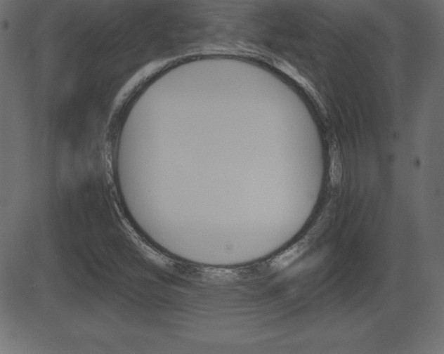 X0000081471454200701121003