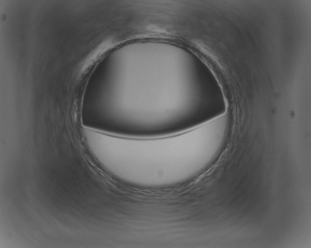 X0000081471455200701121003