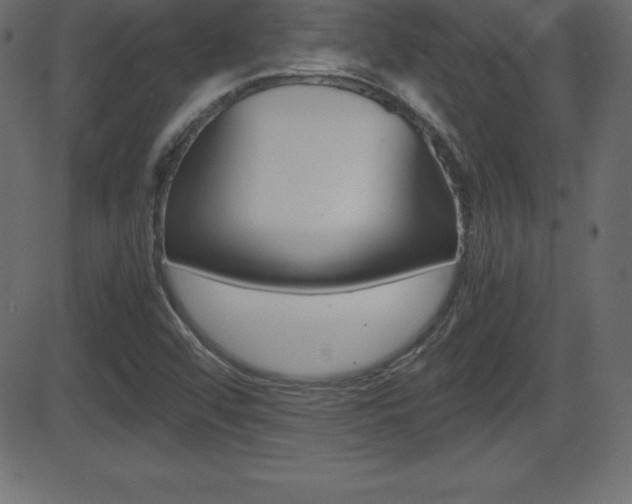 X0000081471456200701121003
