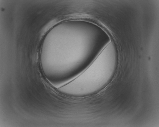X0000081471459200701121003