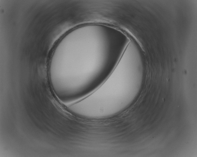 X0000081471460200701121003