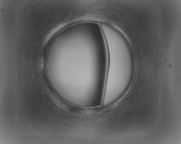 X0000081471461200701121003