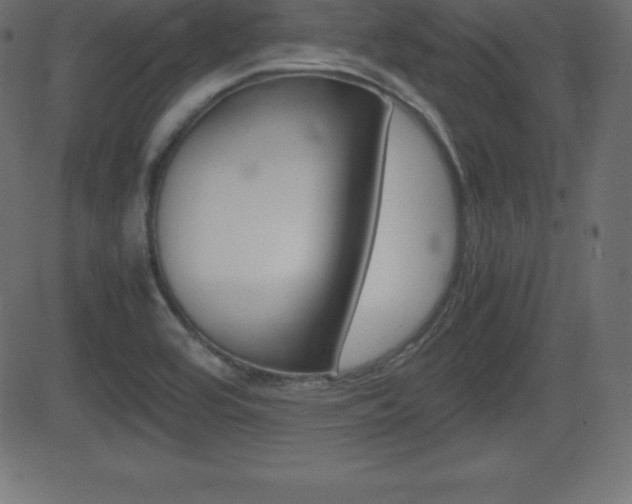 X0000081471464200701121003