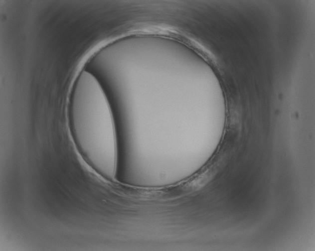 X0000081471471200701121003