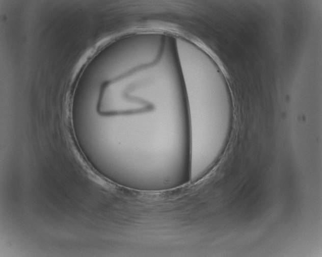 X0000081471477200701121003