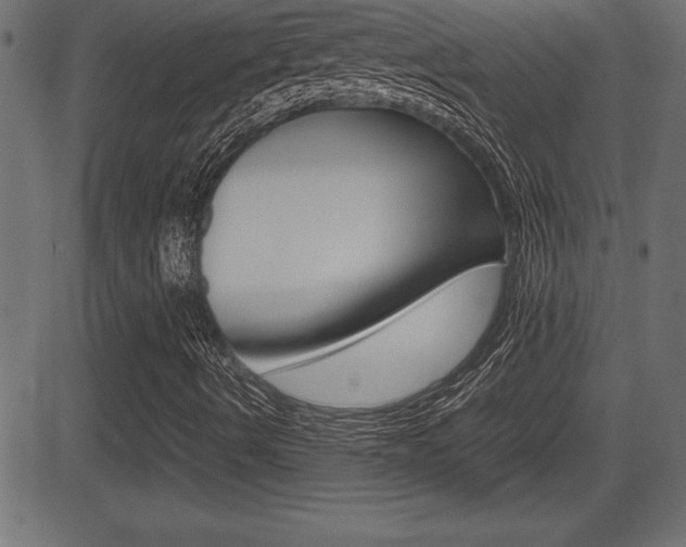 X0000081471490200701121002