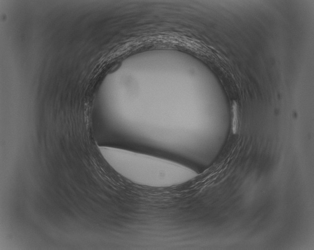 X0000081471491200701121002