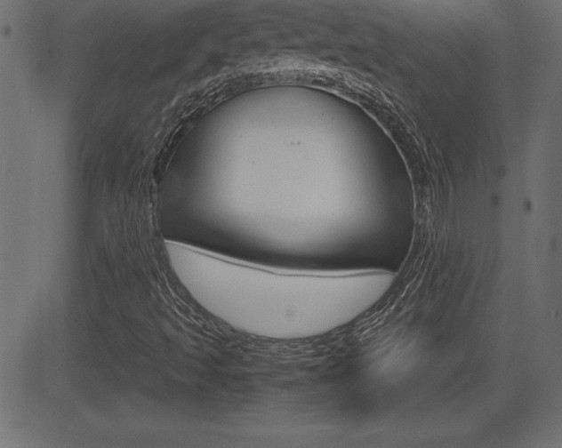 X0000081471493200701121002