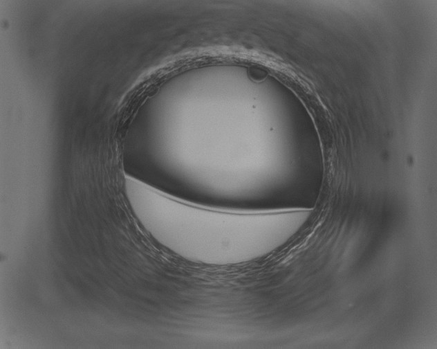 X0000081471494200701121002