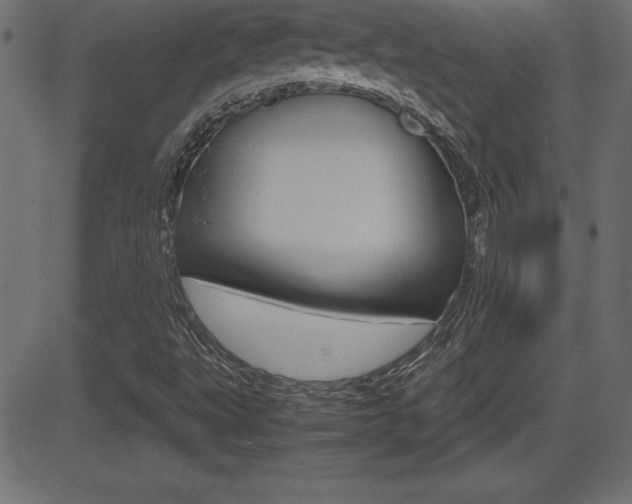 X0000081471495200701121002