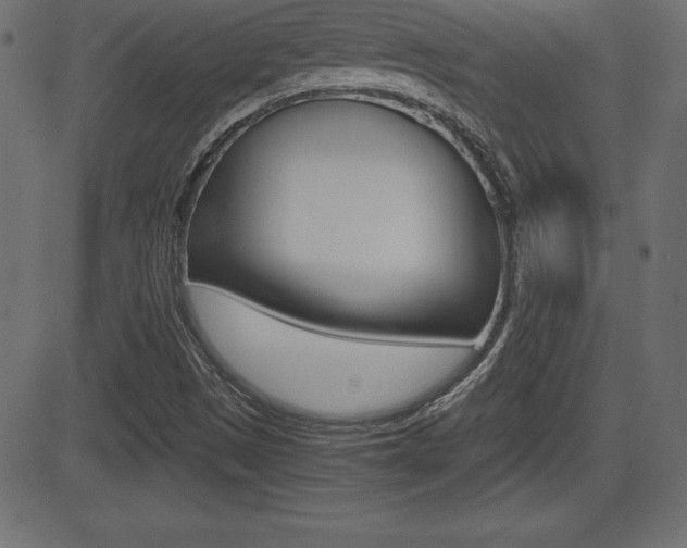 X0000081471497200701121002