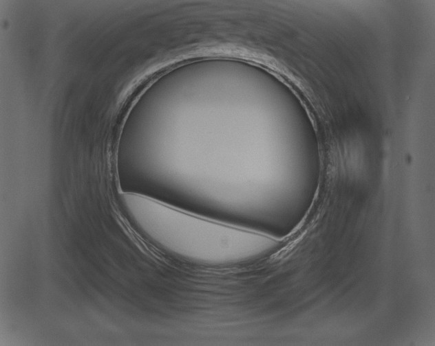 X0000081471499200701121002