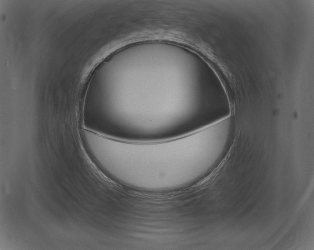 X0000081471500200701121002