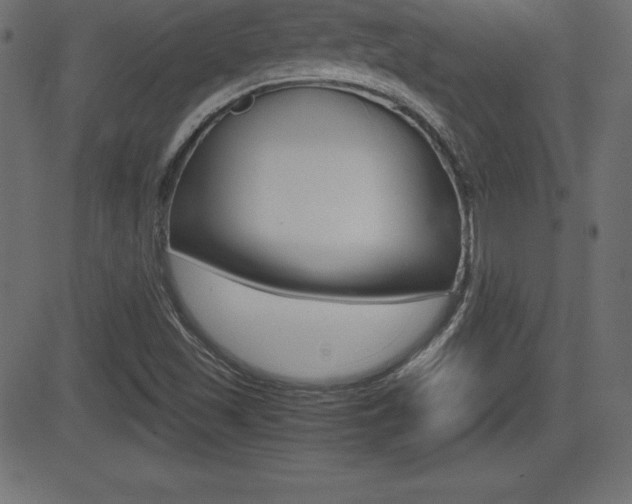 X0000081471501200701121002