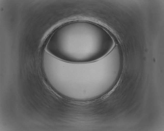 X0000081471502200701121002