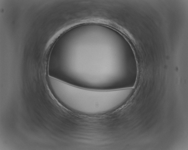 X0000081471504200701121002