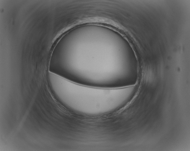X0000081471505200701121002