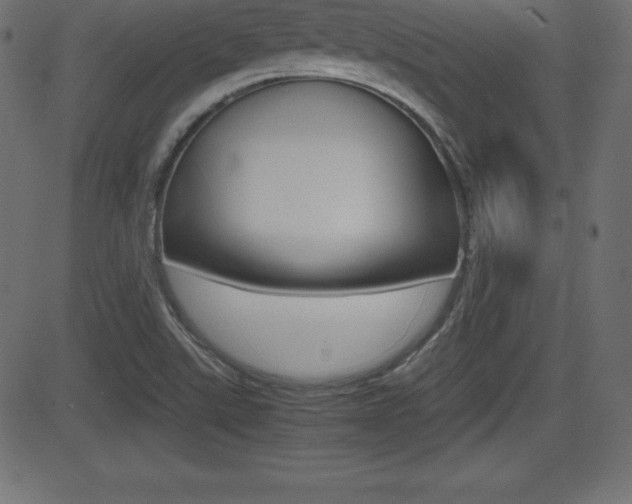 X0000081471507200701121002