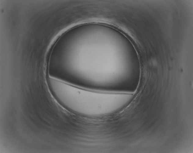 X0000081471508200701121002