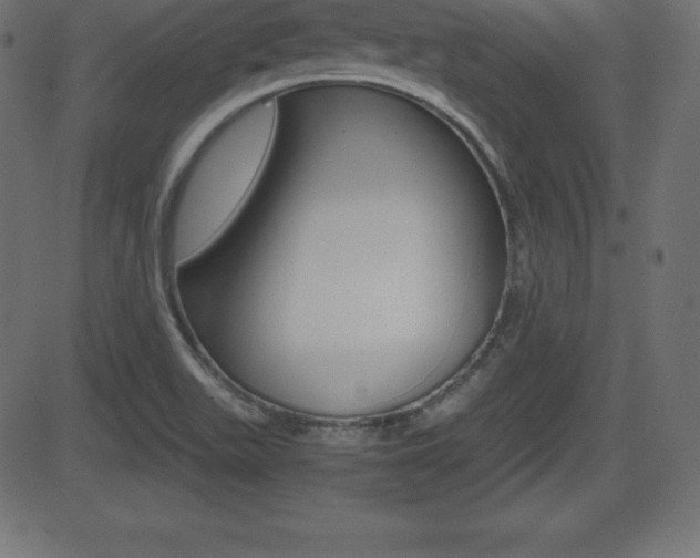 X0000081471511200701121002