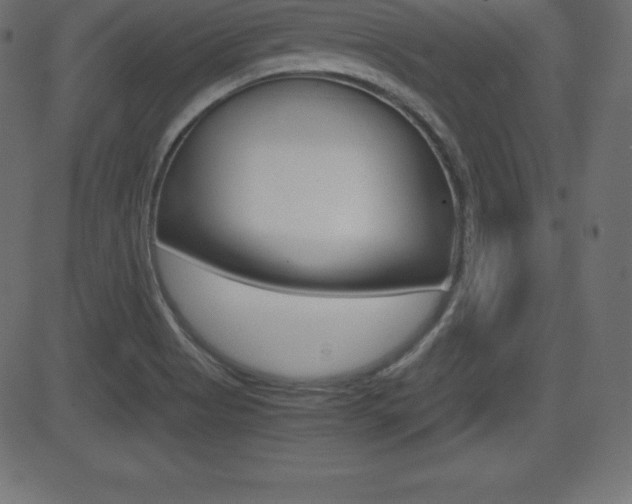 X0000081471513200701121003