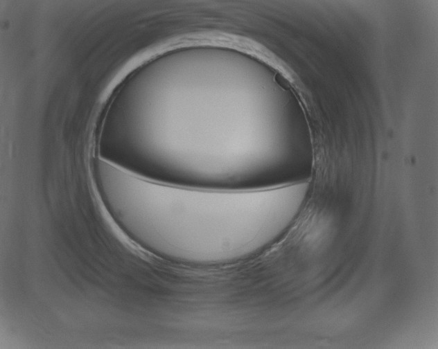 X0000081471523200701121003