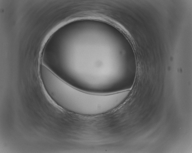 X0000081471528200701121003