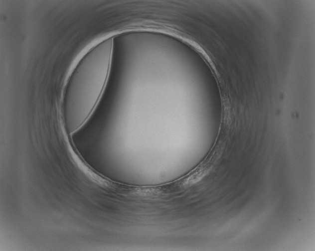 X0000081471531200701121003