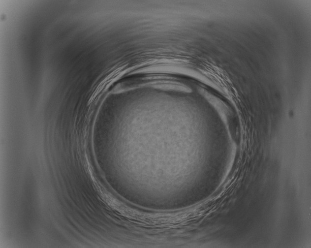 X0000081470001200701121431